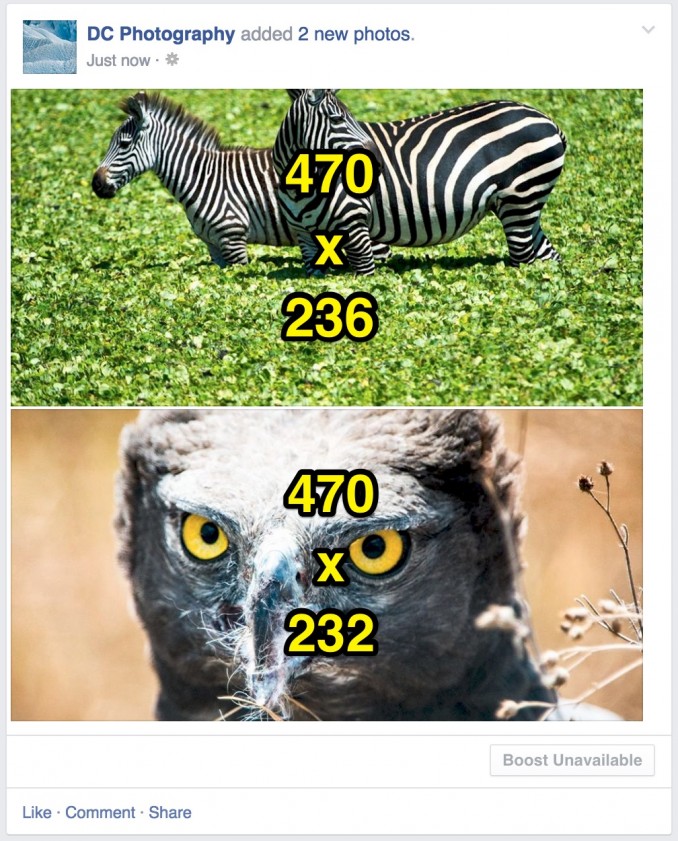 2 imágenes, primera imagen horizontal