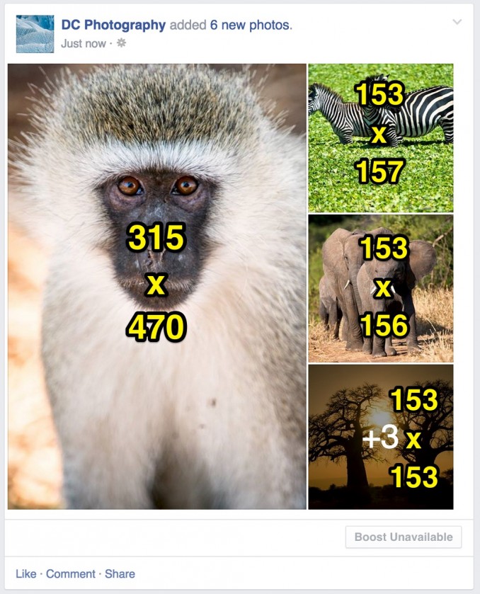 4 o más imágenes, primera imagen vertical