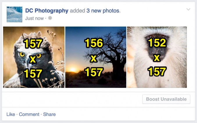 3 imágenes, primera imagen cuadrada