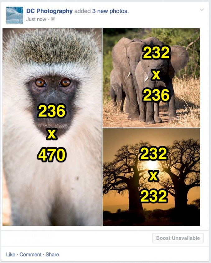 3 imágenes, primera imagen vertical