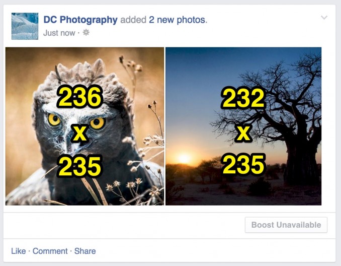 2 imágenes, primera imagen cuadrada