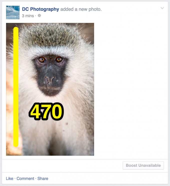 Una imagen en la linea de tiempo de Facebook, vertical